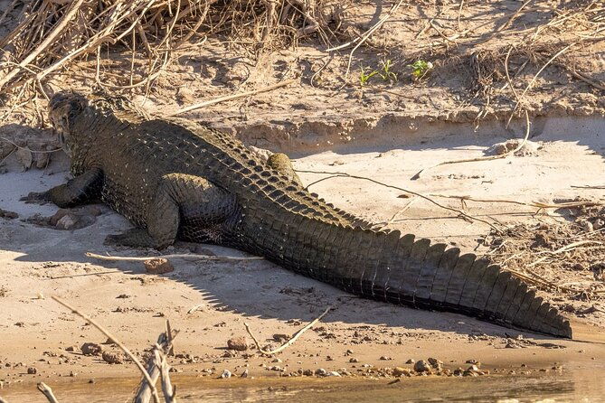 4-days-manu-park-tour