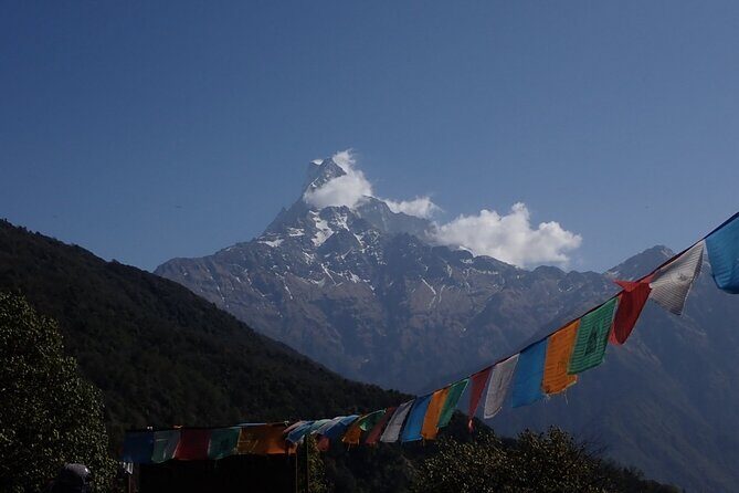 4 Days Mardi Himal Base Camp Trek from Pokhara - Practical Tips for Your Mardi Himal Trek