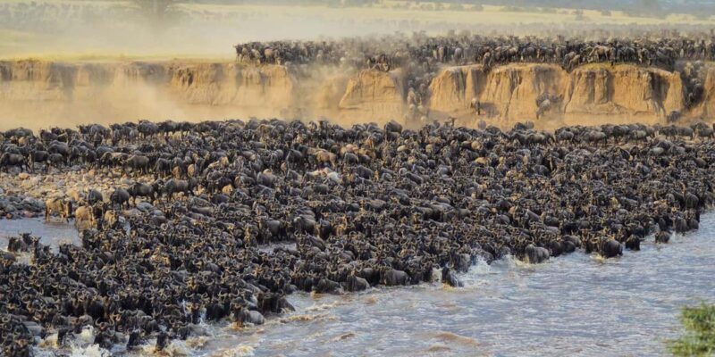 4 Days Masai Mara and Lake Nakuru Budget Safari on 4x4 Jeep - What’s Included and What’s Not