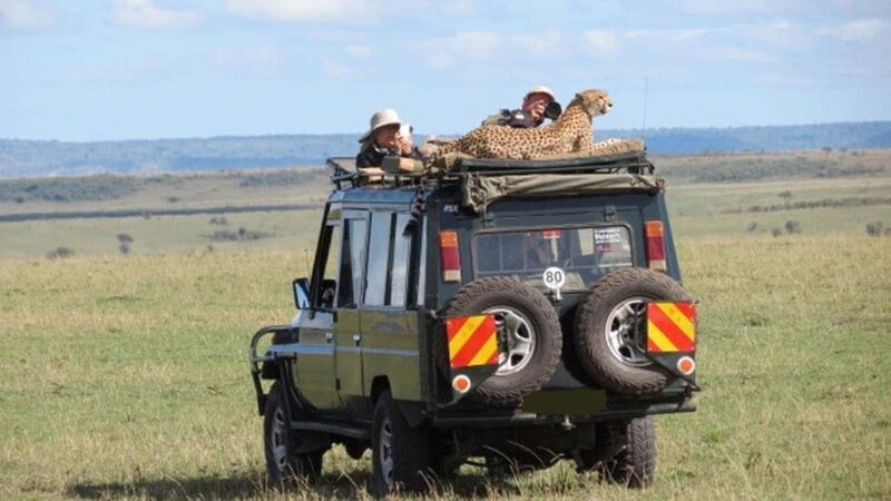 4 Days Masai Mara and Lake Nakuru Lodge - 4X4 Jeep Safari - Key Points
