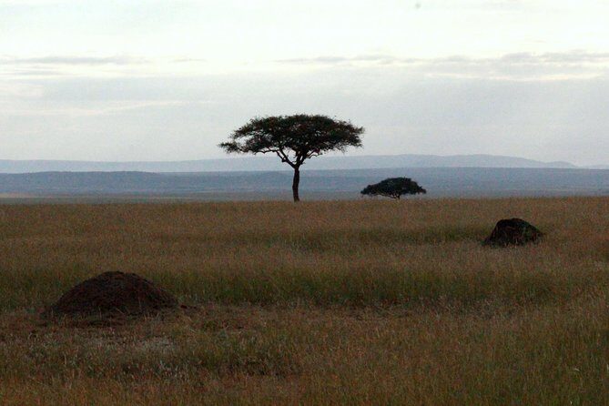 4 Days Masai Mara Camping Safari - Final Thoughts