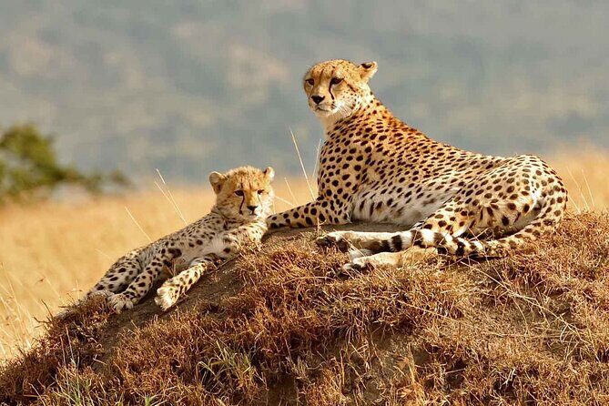 4 days masai mara Nakuru Joining safari - Final Thoughts