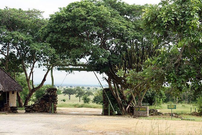 4 Days Mikumi & Udzungwa National Parks Safari - Breaking Down the 4-Day Itinerary