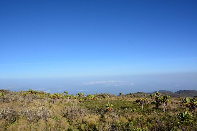 4 Days mount Elgon Trek, 4321m a.s.l - A Closer Look at the 4-Day Mount Elgon Trek