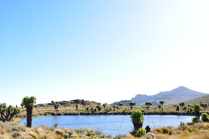 4 Days mount Elgon Trek, 4321m a.s.l - Final Thoughts: Is This Trek Right for You?