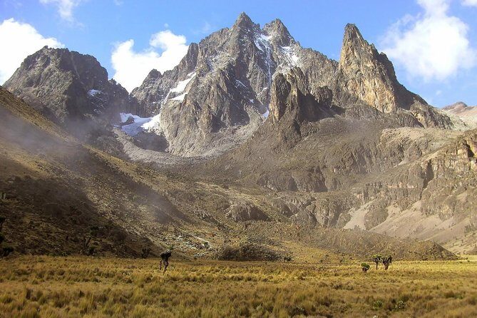 4 Days Mount Kenya Trekking - 4 Days Mount Kenya Trekking Review: An Adventure for the Fit and Curious