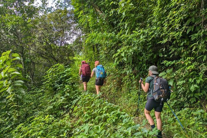 4-days-multi-day-tour-in-inca-trail-jungle