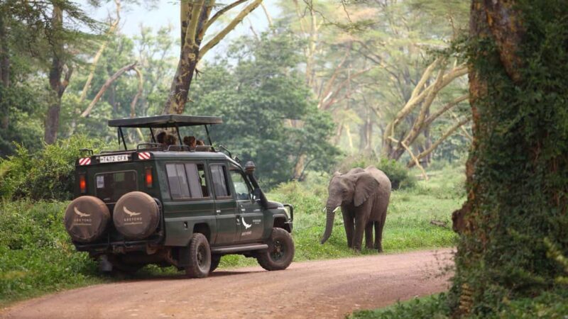 4 Days Ngorongoro Crater and Lake Manyara Wildlife Safari - The Value of This Safari