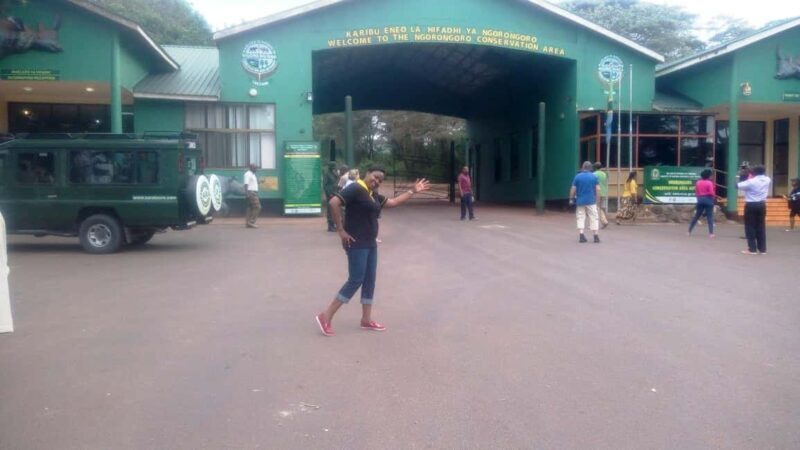 4 Days Ngorongoro Crater and Lake Manyara Wildlife Safari - Who Will Love This Tour?