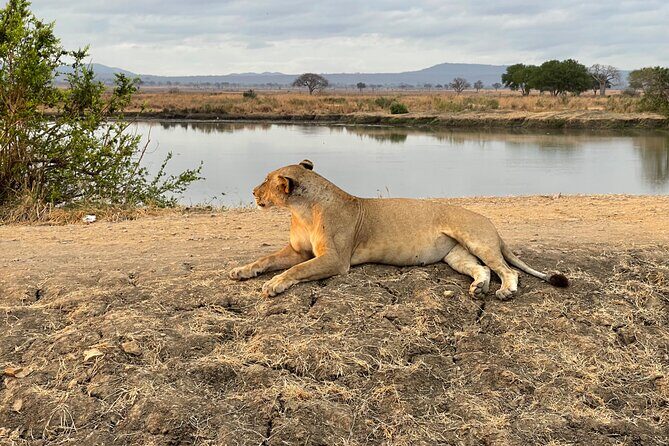 4 days Ngorongoro crater, Tarangire and Serengeti national park - Who Should Consider This Tour