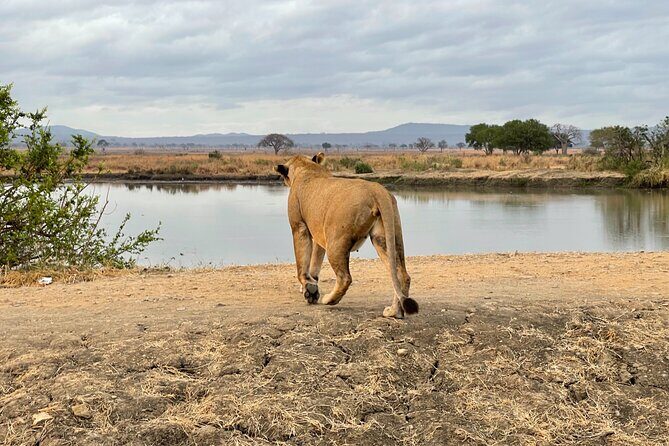 4 days Ngorongoro crater, Tarangire and Serengeti national park - FAQ