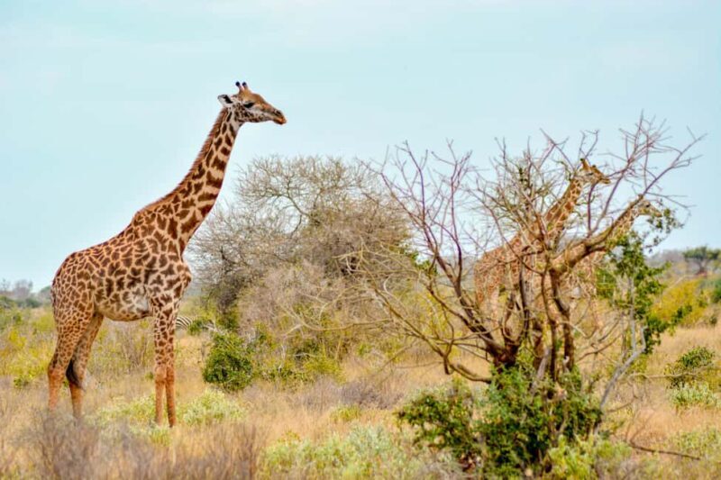 4 Days of Adventure and Wildlife Encounters into the Wild - Final Thoughts