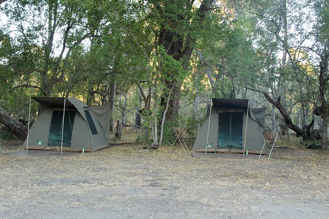 4 Days Okavango Delta Experience - The Sum Up: Who Should Consider This Safari?