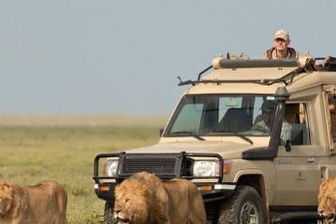 4 Days Private Arusha National Park, Serengeti, Ngorongoro Tour - First Impressions and Overview