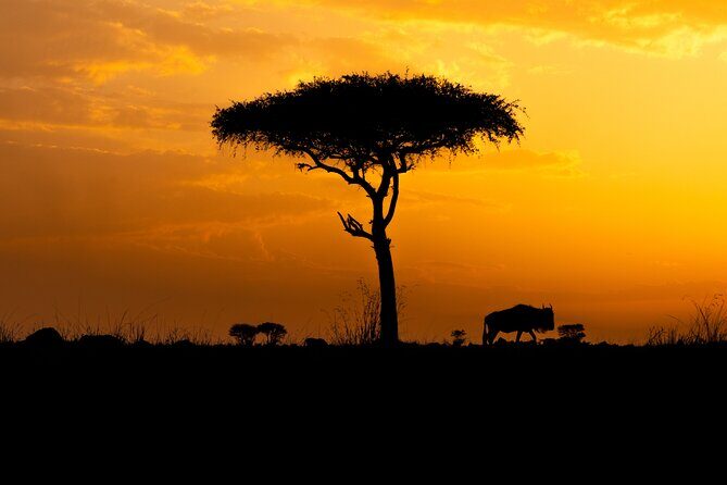 4 Days Private Arusha National Park, Serengeti, Ngorongoro Tour - Transport, Guides, and Logistics