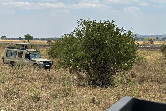 4 Days Private Arusha National Park, Serengeti, Ngorongoro Tour - FAQs