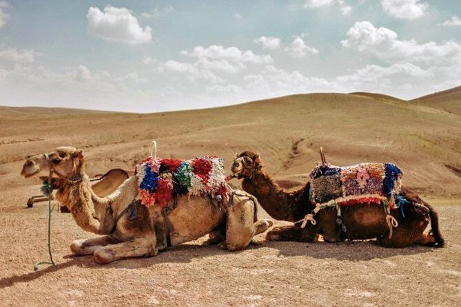 4 Days: Private Desert Tour from Marrakech to Merzouga & Camel Trek - Day 4: Returning to Marrakech