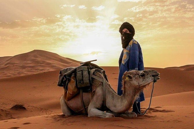 4 Days private Desert Tour From Marrakech To Zagora and Merzouga - The Full Experience: A Deep Dive into the 4-Day Desert Tour