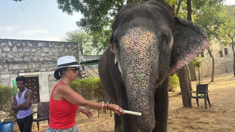 4-Days Private Golden Triangle Tour: Delhi, Agra & Jaipur - Key Points