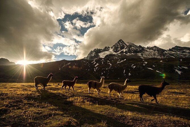 4-days-private-inca-trail-tour