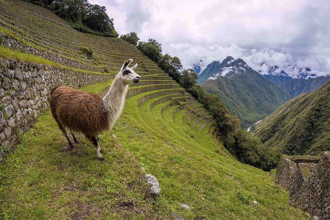 4-days-private-inca-trail-tour