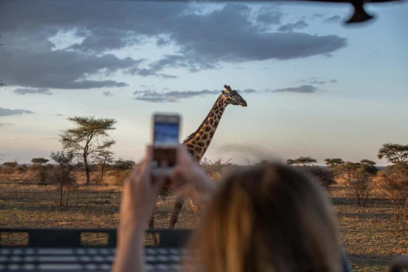 4 Days Private Luxury Safari to Serengeti and Ngorongoro - Key Points
