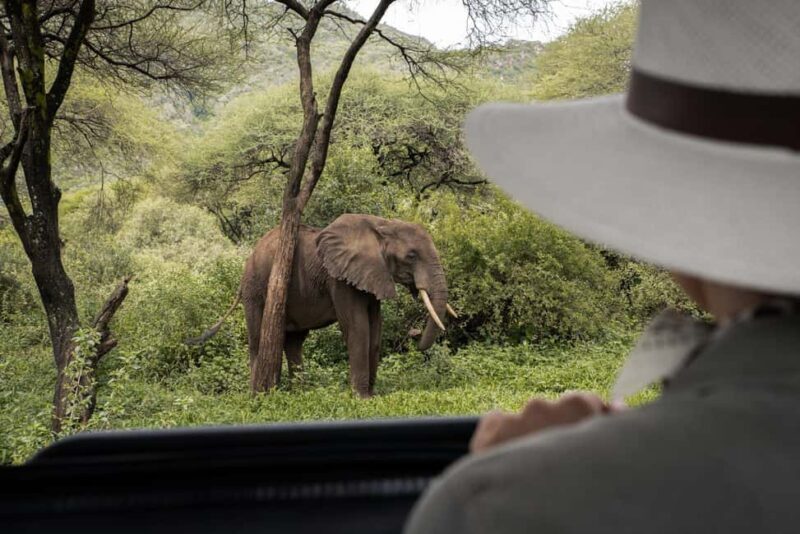 4 Days Private Luxury Safari to Serengeti and Ngorongoro - FAQ