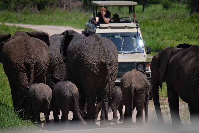 4 Days Private Midrange Lodge Safari to Serengeti & Ngorongoro - Key Points