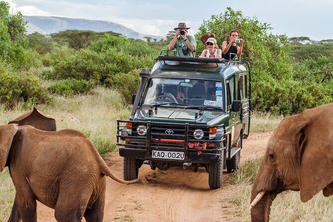 4-Days Private Midrange Safari Tarangire, Serengeti & Ngorongoro - A Detailed Look at the 4-Day Itinerary