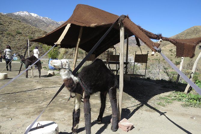 4 Days Private Morocco Sahara Desert Tour from Fes to Marrakech - Key Points