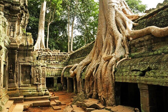 4 Days Private Round Trip Bangkok Angkor Wat by Bus and Private Vehicle - Final Thoughts: Who Is This Tour For?