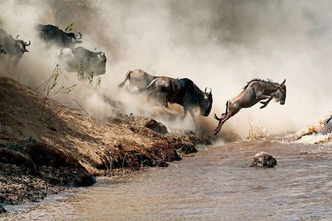 4 days Private Safari Tour Tanzania - FAQ