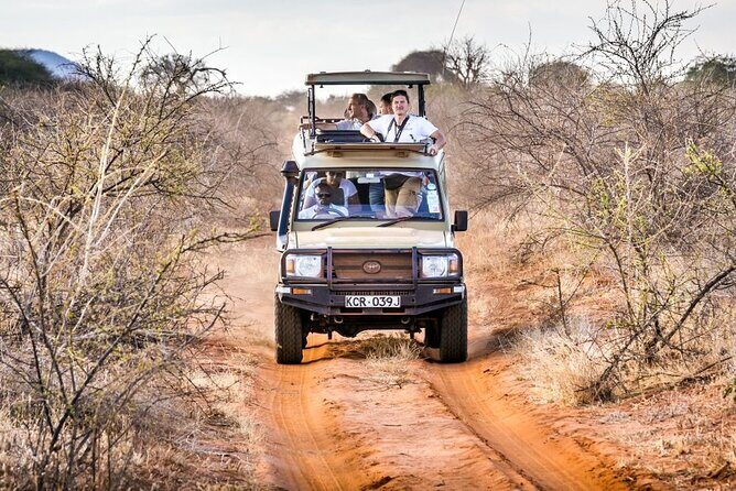 4 Days Private Safari Tour Tsavo and Amboseli from Nairobi - Key Points