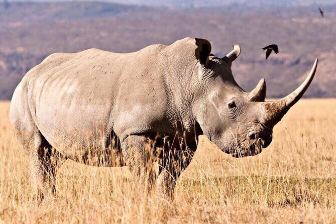 4 Days Private Tour at Kruger National Park & Blyde River Canyon - Who Would Love This Tour?