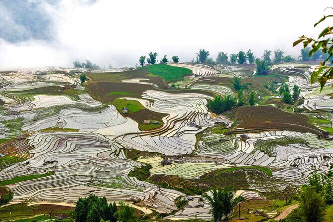 4 Days Private Tour from Sapa to Y Ty - What to Expect from the 4-Day Private Tour from Sapa to Y Ty