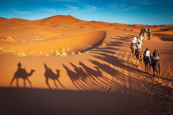 4 Days Private Tour To Marrakech From Tangier - Authentic Insights from Travelers