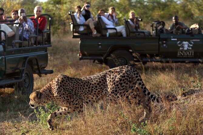 4 Days Radisson Kruger Safari Tour from Johannesburg - Final Thoughts