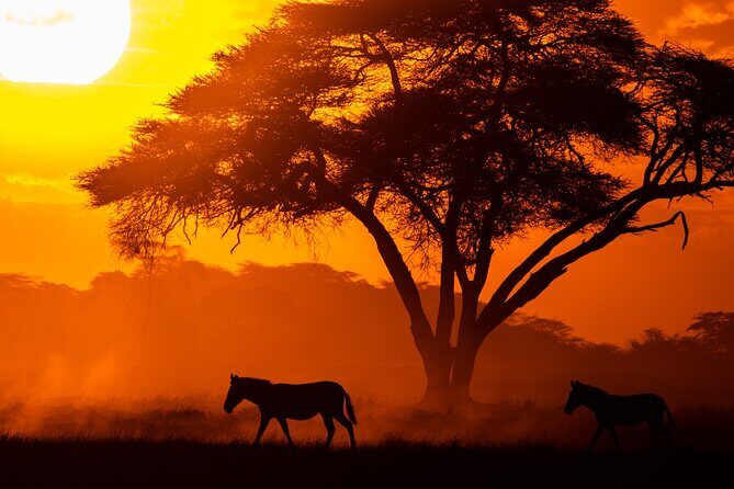 4 Days Safari from Mombasa to Amboseli and Tsavo West and East - Final Thoughts
