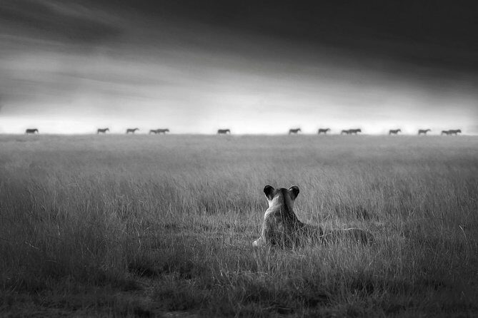 4 days safari in Tanzania - Final Thoughts: Who Is This Tour Best For?