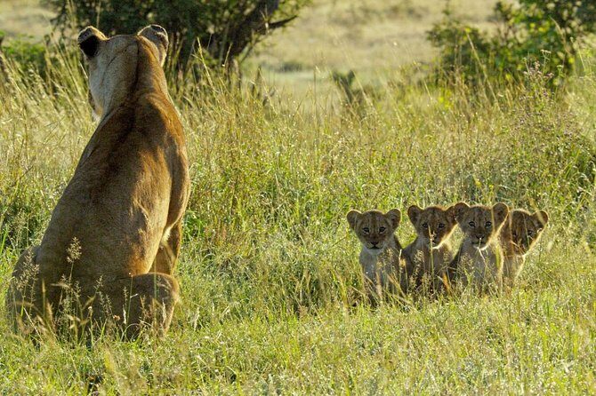 4 days safari in Tanzania - Final Word