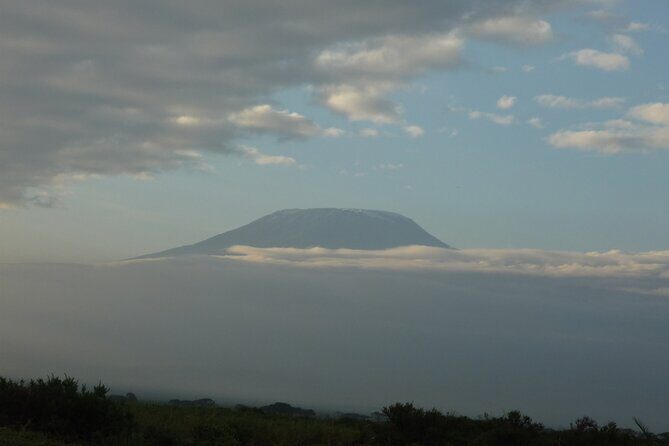 4 Days Safari to Amboseli N/P, Tsavo East N/P. - FAQs