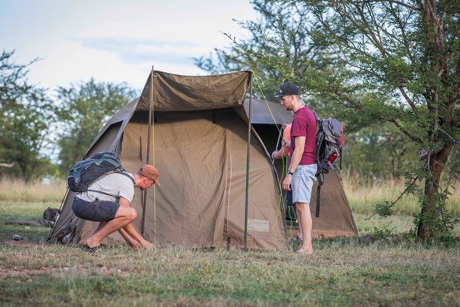 4 Days safari Tour Tanzania - Exploring the Itinerary in Detail