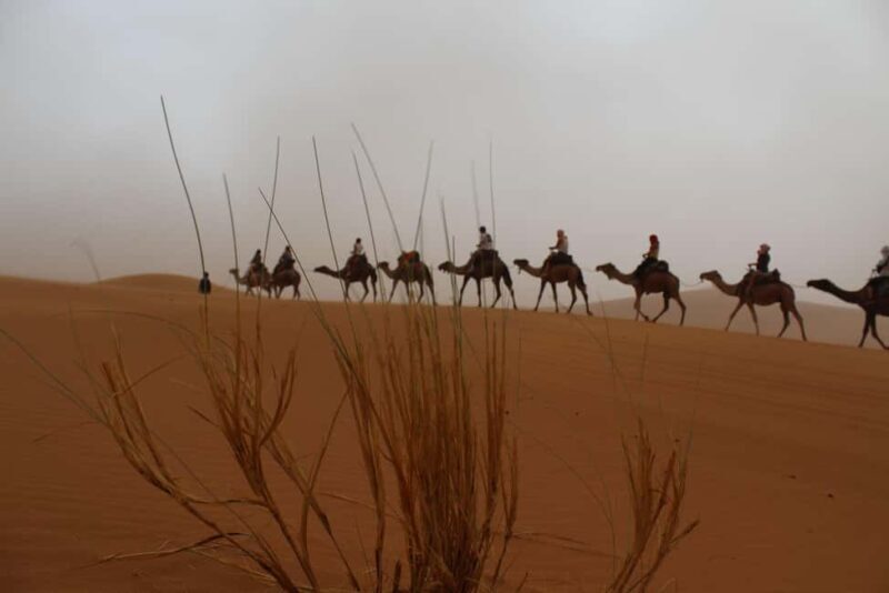 4 days Sahara desert tour from marrakech to merzouga dunes - Key Points
