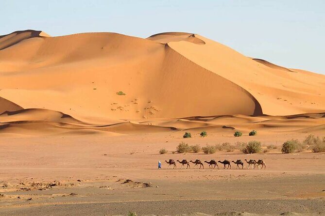 4-Days Sahara Desert Trip From Marrakech end at Marrakech - Limitations and Considerations