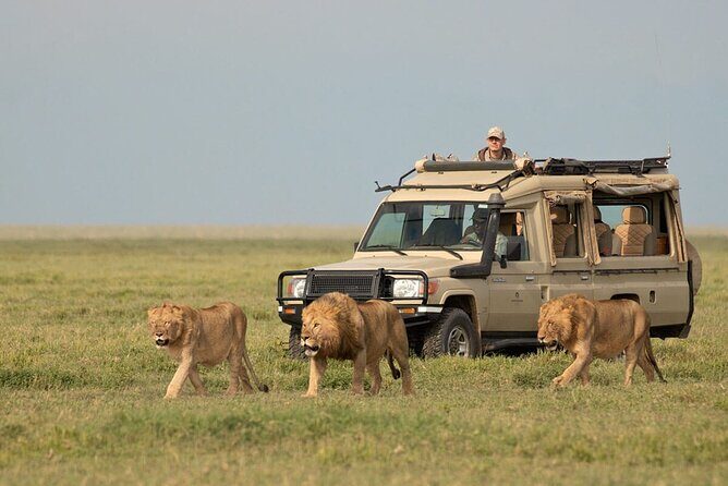 4 Days scenic Tarangire, Ngorongoro, Serengeti Group Safari - Authentic Experiences and Practical Tips