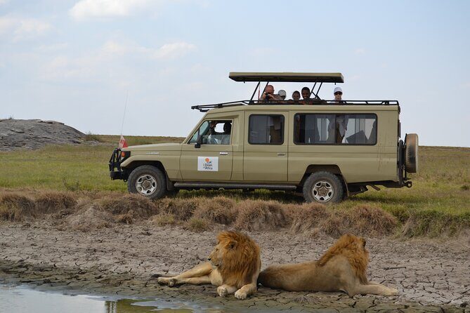 4 Days Serengeti Heritage Safari - Key Points
