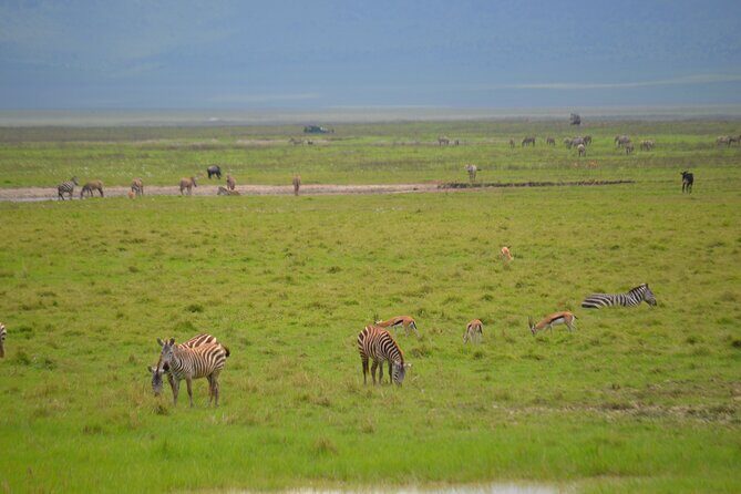 4 days serengeti & ngorongoro mid range tour - Final Thoughts