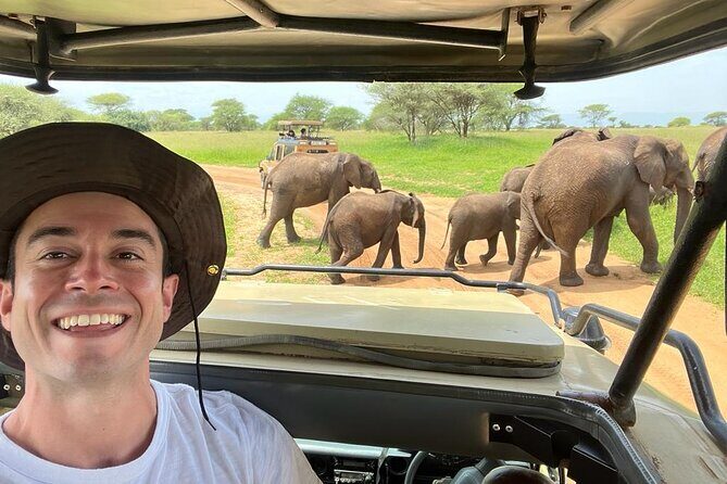 4 Days Serengeti NP, Ngorongoro Crater & Tarangire NP Safari - What Travelers Say: Genuine Insights from Past Guests