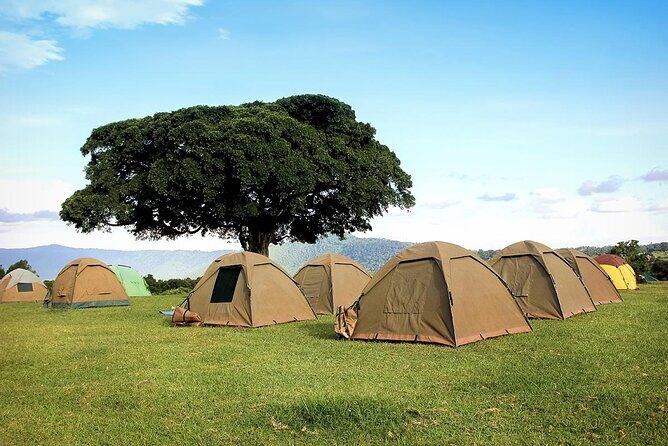 4 Days Serengeti NP, Ngorongoro Crater & Tarangire NP Safari - Who Is This Tour Best For?