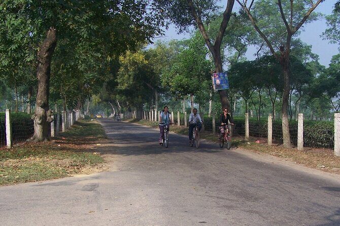 4-Days Srimangal Adventure Tour with Cycling Excursion - Who Should Book This Tour?